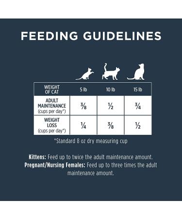 Instinct Raw Boost Grain Free Dry Cat Food - Chicken, 10lb Pack - High Protein Kibble + Freeze Dried Raw Formula - Buy Online on SooperMarket.com