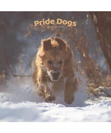 Buy Beef Tripe 1000g - Premium Chew Snack for Dogs | 100% Beef Made in Germany Odorless Bag - PrideDogs - Buy Online on SooperMarket.com