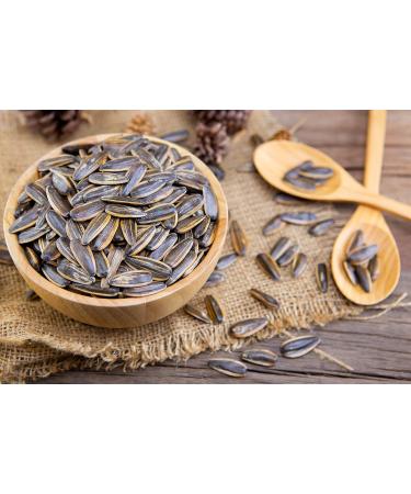 Chacha Roasted Salted Sunflower Seeds - Premium Chinese Snack | 130g x 2 Pack - Buy Online on SooperMarket.com