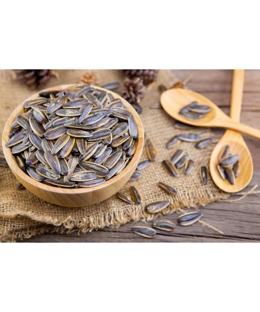 Buy Chacha Roasted Salted Sunflower Seeds - Premium Quality Snack from China | 130g Pack - Buy Online on SooperMarket.com