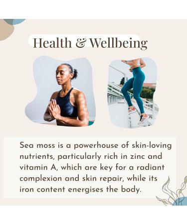 Mecantu Raw Sea Moss (Irish Sea Moss) - Ethically Sourced & Eco-Friendly | Create Healthy Vegan Food Drinks Sea Moss Gel and Sea Moss Powder | 2+ Months Supply (100g) main - Buy Online on SooperMarket.com
