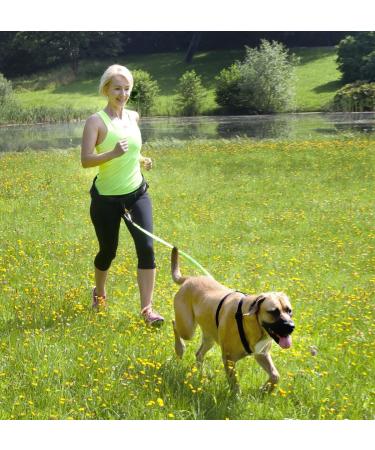 DINGO Canicross Belt 4-in-1 | Universal Adjustable Hands-Free Dog Walking Belt | Reflective Multifunctional | Running Sports Jogging Training | Black Waist Belt (12780-2) - Buy Online on SooperMarket.com