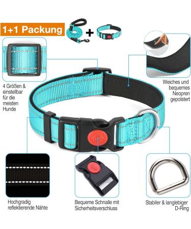 Haapaw Reflecting Dog Collar - Padded Soft Neoprene Breathable Nylon for Small to Medium Dogs - Turquoise (1-Pack) - Buy Online on SooperMarket.com