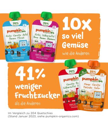 Pumpkin Organics Bio Vegetable Cereal Quets 8 Pack - Sugar-Free Baby Food with Sweet Potato Rice Pear & Blueberry - Gluten-Free & Vegetarian - Perfect for 6+ Months (8x100g) - Buy Online on SooperMarket.com
