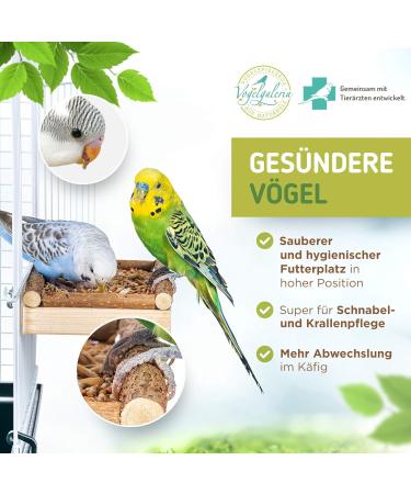 Premium Bird Gallery Perch - Quality Budgie Perches & Accessories for Bird Cages | International Shipping Available - Buy Online on SooperMarket.com