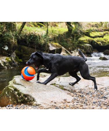 Chuckit! Large Regular Glow Ball - Bright and Durable Fetch Toy - Buy Online on SooperMarket.com