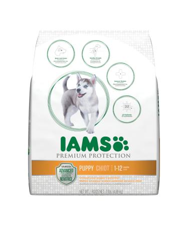 Iams Premium Protection Puppy Dry Dog Food 11-Pound 4.99 kg (Pack of 1)