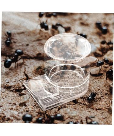 Toddmomy Pet Water Feeder Ant Water Drinking Cup Ant Watering Cup Ants Waterer Ant Feed Bowl to Feed Animal - Buy Online on SooperMarket.com