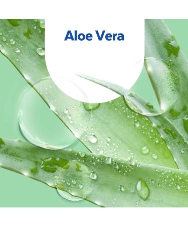Sagrotan No-Touch Aloe Vera Refill - 5x250ml Hand Soap for Automatic Dispenser | International Shipping - Buy Online on SooperMarket.com