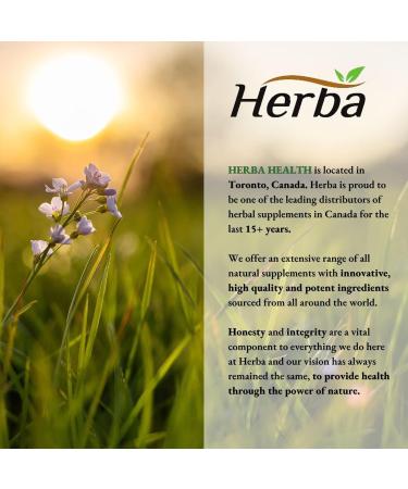 Herba NAC Supplement 600mg 180 Vegetable Capsules | N-Acetyl-L-Cysteine | NAC Supplement 600 mg for Antioxidant | Premium & Pure | Product of Canada | 180 Capsules - Buy Online on SooperMarket.com