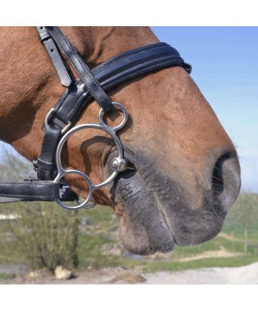 Sprenger TURNADO Stainless Steel 3-Ring Bridle 11.5 | Premium Equestrian Gear - International Shipping - Buy Online on SooperMarket.com