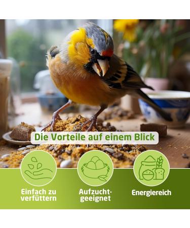 Eggersmann Volaris Bird Food 1kg - High Energy & Fat-Rich Streuk rner for All Birds | Perfect Wild Bird Seed Blend for Year-Round Feeding - Buy Online on SooperMarket.com