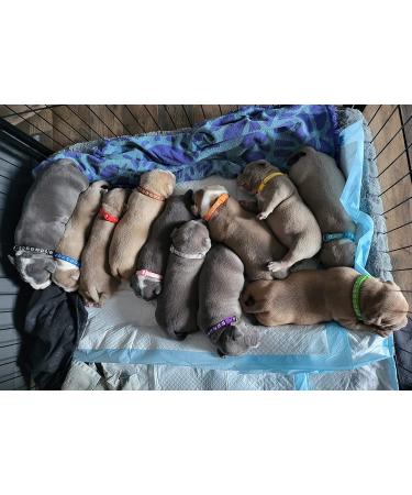 Flymind Puppy Collars 19Pcs Whelping ID Collars with Bell - Adjustable Soft Nylon Litter Collars for Newborn Pets - Non-Breakaway - Buy Online on SooperMarket.com