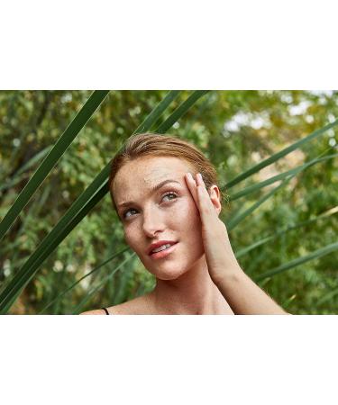 LATHER Daily Defense Mineral SPF 50 - Tinted Sunscreen for Face - 2 Fl Oz - Buy Online on SooperMarket.com