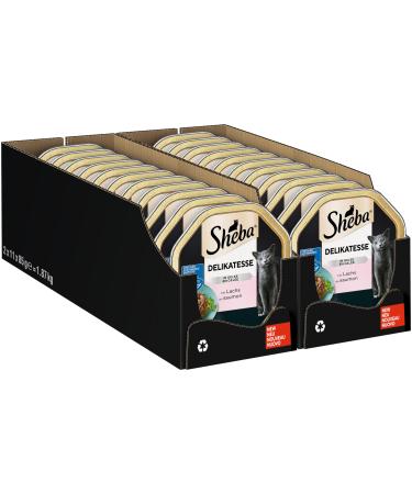 Sheba delicacy in jelly - high -quality cat wet food - sliced sliced with salmon - in the practical bowl - 22 x 85g sole feed (MSC)