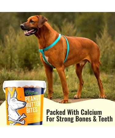 Peanut Butter Dog Treat Biscuits | Delicious Peanut Butter Bite Treats For Dogs & Puppies | Wheat Free & Packed With Vitamins & Minerals | Helps Keep Teeth Clean | Great For Reward Training Peanut Butter - Buy Online on SooperMarket.com