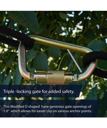 Fusion Tacoma D-Shaped Triple Lock Alloy Steel Carabiner - Gold | Heavy-Duty Climbing Gear - Buy Online on SooperMarket.com