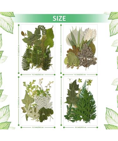 TimTin 84 Pieces Dried Leaves and Flowers Resin Craft Kit - Assorted Greenery for DIY Handmade Bookmarks - Vivid Style - Buy Online on SooperMarket.com