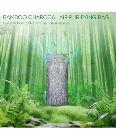 Activated Charcoal Odor Absorber - 6 Pack Nature Deodorizer for Shoes Bamboo Charcoal Air Purifying Bags Fresh Sneakers & Moisture Remover - Buy Online on SooperMarket.com