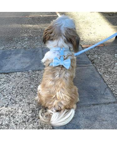 Laika Planet Dog Harness for Small Dogs - Premium Safety & Comfort | 1.5m Leash & Velvet Loop (Size S Blue) - Buy Online on SooperMarket.com