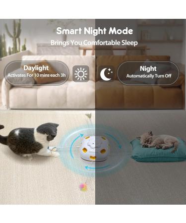 GoldenSun Rechargeable 4in1 Interactive Cat Toy - Hide and Seek Kitten Wand, Whack a Mole, Motion Self Play - Electronic Automatic Cat Toy for Indoor Cats - Exercise and Entertainment - Black Meow - Buy Online on SooperMarket.com