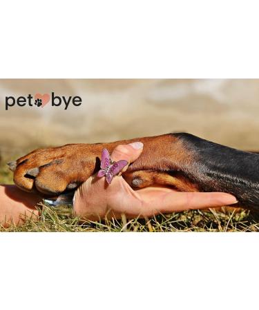 petbye XL Cardboard Animal Coffin Natural - 60 x 36 x 21 cm Pet Coffin for Funeral and Earth Funeral Pet Solid Cardboard Animal Coffin Extra Stable Gr. XL - Buy Online on SooperMarket.com