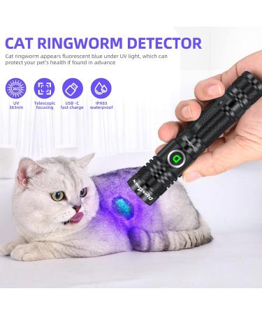 DARKDAWN UV Torch Flashlight 365nm Light USB Rechargeable Ultraviolet LED Blacklight Powerful Woods Lamp Portable Mini Detector for Pet Urine Stains Uranium Glass Money Resin Curing Fluorescent Uv 365nm Light/Blue - 1 Pack - Buy Online on SooperMarket.com