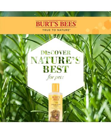 Burt's Bees for Dogs Natural Paw & Nose Lotion 2 Pack | Soothing & Moisturizing Formula with Rosemary & Olive Oil | Cruelty-Free, Sulfate & Paraben-Free | pH Balanced for Dogs | Made in USA - Buy Online on SooperMarket.com