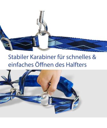 Premium Blue Horse Halter - Fur Lined Available in XFull Pony Cob Warmblood Sizes | Durable & Stylish - Buy Online on SooperMarket.com