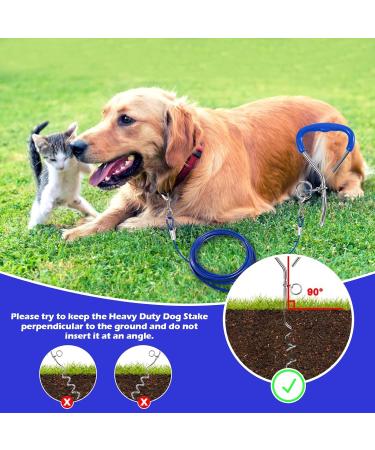 JETOP Heavy Duty Dog Stake & 10 ft Dog Chains Steel Spiral Ground Dog Spike for Outdoor Yard and Camping Dog Camping Accessories for Puppy Pet and Medium Dogs (176 lbs of pull) (Blue) - Buy Online on SooperMarket.com