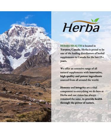 Herba Krill Oil Omega 3 Supplements - 120 Softgels | 1000mg of Antarctic Krill Oil Per Day (2 softgels 500mg each) | Source of Omega 3 Fatty Acids | High Astaxanthin | Premium Grade - 500mg Krill Oil per Soft Gel | 2 Months Supply - Buy Online on SooperMarket.com