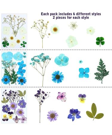 EBOOT 72 Pieces Real Dried Pressed Flowers Set for DIY Crafts & Floral Decor - Mixed Dry Flowers for Candle, Resin, Jewelry & Nail Art - Buy Online on SooperMarket.com