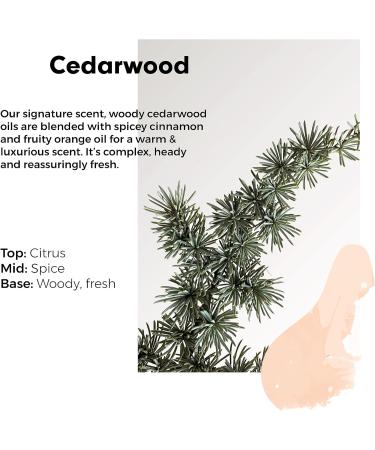 Wilton London Eco-Friendly Cedarwood Laundry Liquid 28 Washes - Non-Bio Plant-Based Biodegradable Detergent - Essential Oils - Made in UK - 1L - Buy Online on SooperMarket.com
