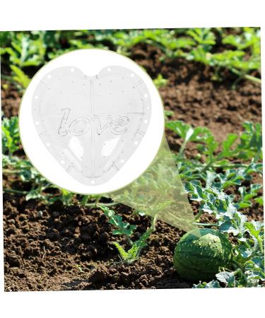 OSALADI Plant Plastic Fruit Clear Fruit Yard Fruit Fruit Forming Heart-Shaped Pumpkin - Buy Online on SooperMarket.com