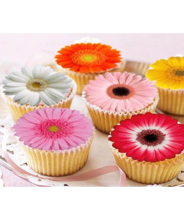 Pre-Cut Beautiful Gerbera Daisy A Edible Wafer Paper Flowers Cupcake Toppers Cake Decorations Birthday Party (12) - Buy Online on SooperMarket.com