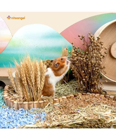Niteangel Natural Harvest Wind Flower & Herb Hamster Bedding - Habitat Decor for Small Pets - Buy Online on SooperMarket.com