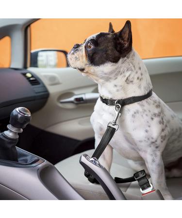 Adjustable Black Dog Seat Belt with Elastic Bungee Buffer - Car Travel Accessories - Buy Online on SooperMarket.com