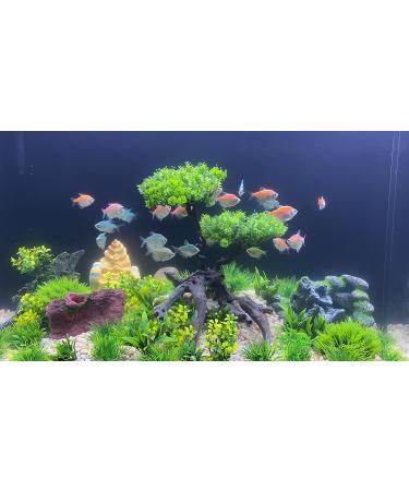 Begondis 25-Piece Plastic Aquarium Plant Tree Set | Artificial Aquatic Plants & Flowers for Fish Tank Decorations - Buy Online on SooperMarket.com