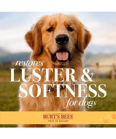 Burt's Bees for Pets Palm Detangling Brush - All Natural Bamboo Dog Brush with Adjustable Strap | Best Dog Grooming Tool - Buy Online on SooperMarket.com