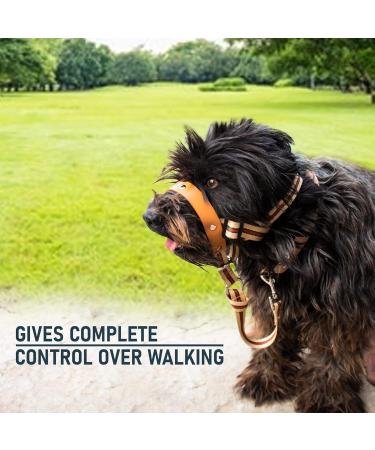 Alpha Boy Dog Training Collar | Comfortable Real Leather Harness for All Breeds | Easy-to-Use with Quick Lock Buckle (XXL) - Buy Online on SooperMarket.com