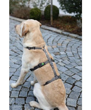 Kerbl 80044 Panic Harness Miami | Escape-proof Dog Harness | Grey 64-100cm | International Shipping Available - Buy Online on SooperMarket.com