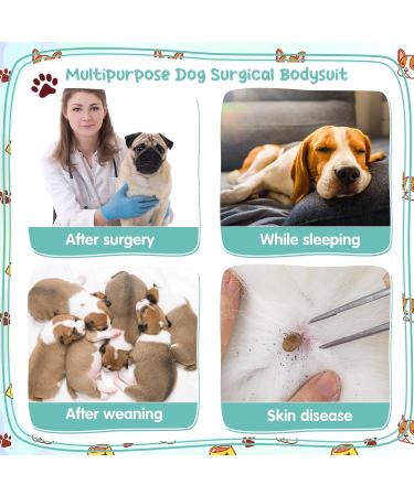 Zuimei Dog Surgery Recovery Suit Striped Dog Surgical Recovery Suit Anti-licking Dog Post Surgery Bodysuit Dog Recovery Shirt Dog Onesie Vest For Wound Protection E-Collar Alternative(Green S) pink green S - Buy Online on SooperMarket.com