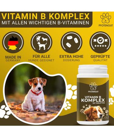 Pfotengut Vitamin B Complex for Dogs & Cats - 120 Tablets Made in Germany High-Dose B Vitamins for Optimal Health - Supports Energy & Vitality - Buy Online on SooperMarket.com