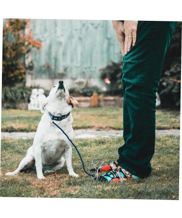 Angoily 3-Piece Dog Coupling Ground Anchor - Chrome Plated Metal Pet Tie Set (42x8.5x4cm) - Durable Silver Pet Accessories - Buy Online on SooperMarket.com