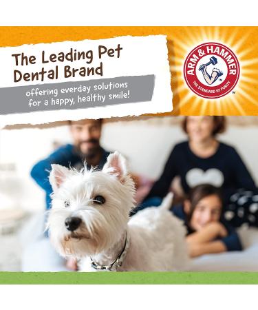 Arm & Hammer Treadz Gator Dental Toy for Strong Chewers - Large Size - Buy Online on SooperMarket.com