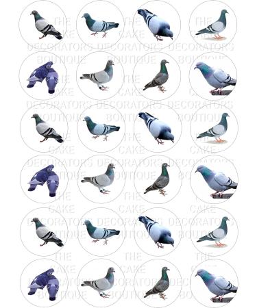 24 edible pigeons birds british wildlife kids childrens party decorations Iced/Icing Cupcake Topper Edible Fairy Cake Bun Toppers Round - Buy Online on SooperMarket.com