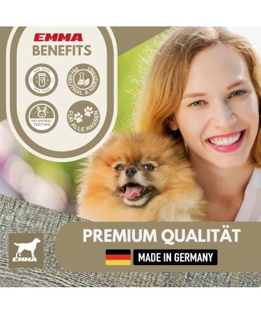 Zinc Ointment & Spray for Dogs & Horses | Wound Healing Protection | 2x250ml Zinc Oxide Solution - Buy Online on SooperMarket.com