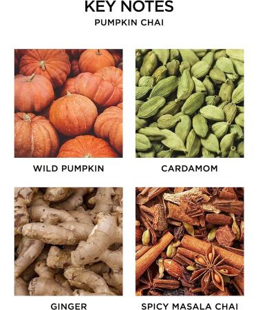 Nest Fragrances Pumpkin Chai Liquid Hand Soap 10 Fl Oz - Luxurious Fall Scent | Shop Now! - Buy Online on SooperMarket.com