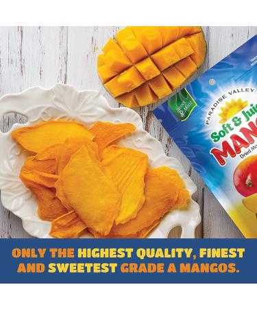 Dried Mango Slices - Soft, Juicy, Low Sugar, Gluten-Free, Natural Source of Vitamin C & Fiber (8 oz. x 6 Pack) - Buy Online on SooperMarket.com