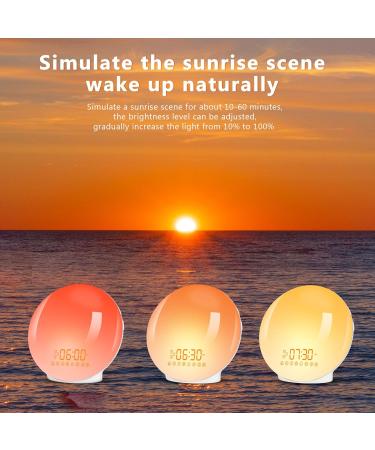 Baozily Light Alarm Clock Sunrise Sunset Simulation Double Alarms Snooze FM Radio & 11 Color Options Wake Up Naturally! - Buy Online on SooperMarket.com